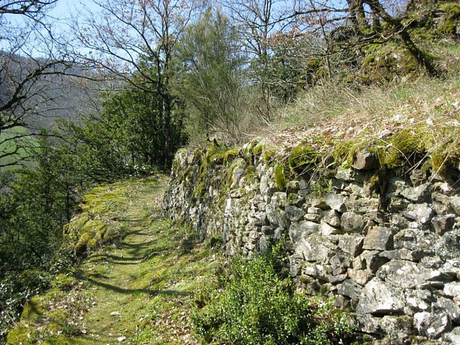 Sentier et mur en pierres sèches