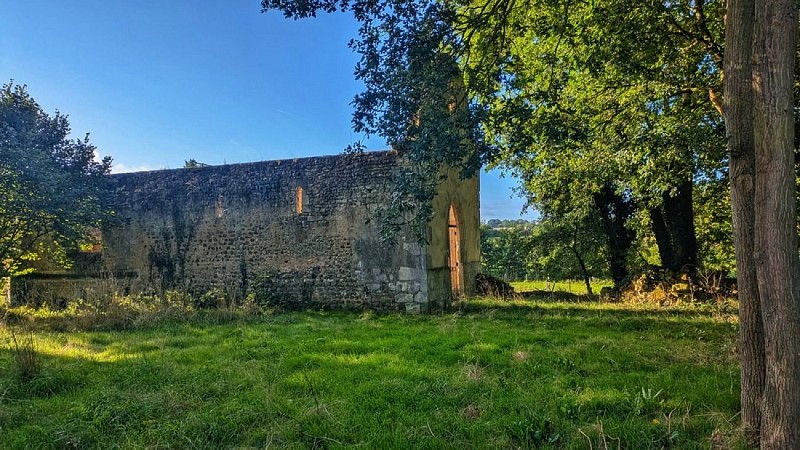 Ruines de l'église Saint-Aubin (de Champrond-en-Perchet)