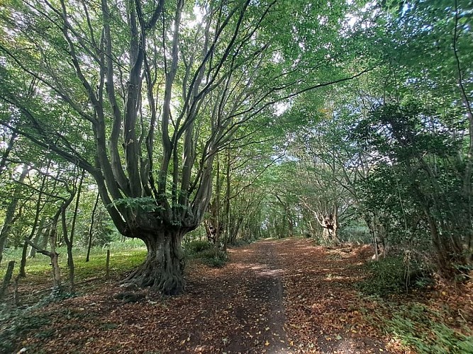 La vallée de la cloche à VTT