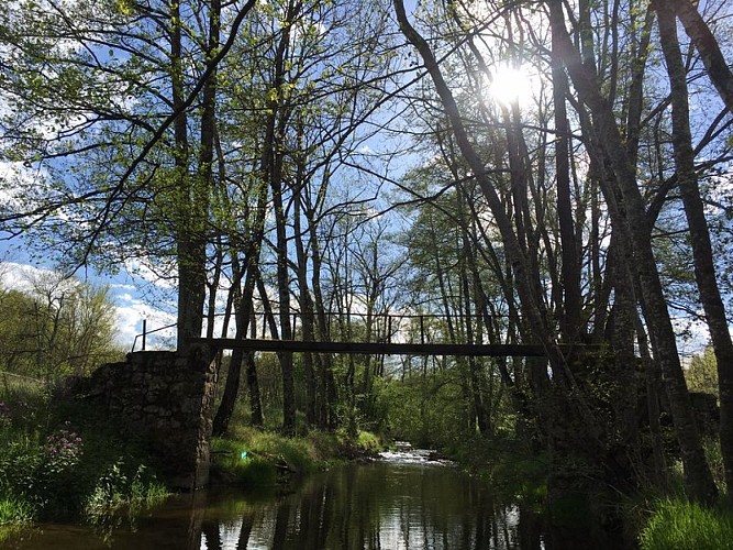 Passerelle de Turlet