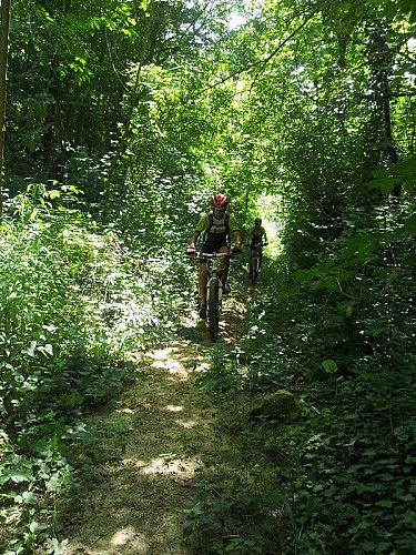 Sentier sur le parcours