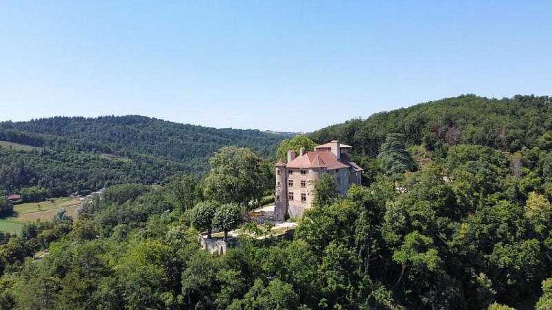 Le château de Charmes - Marche nordique