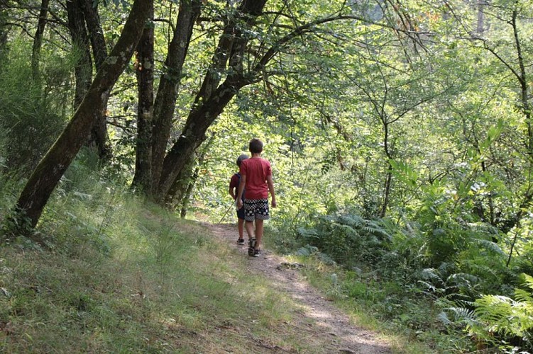 Abords de la Daronne