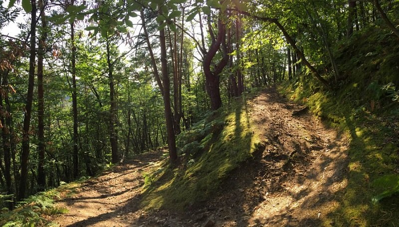 Sentier d'accès aux gorges