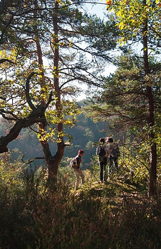 Descente dans les gorges