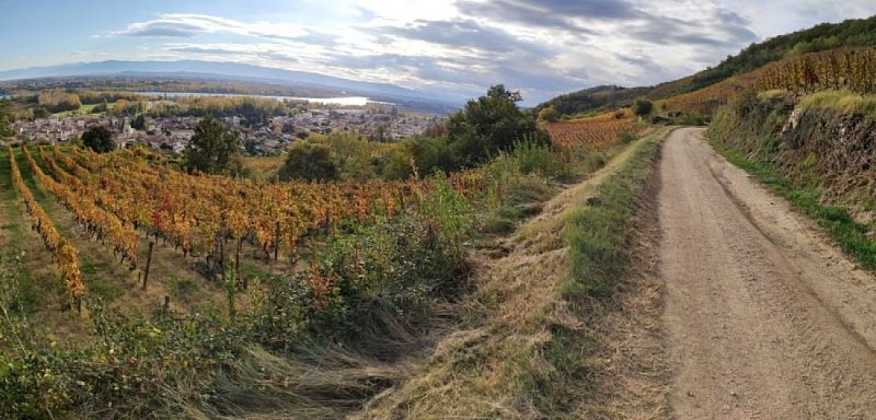 Piste de Rôle - marche nordique