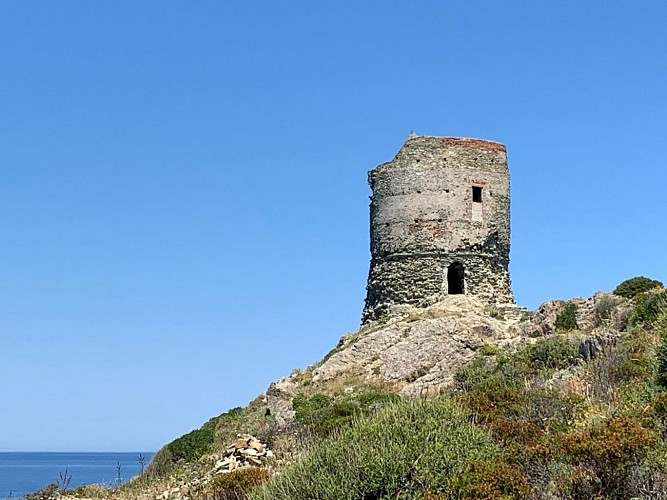 Barcaggi - Tour d'Agnello