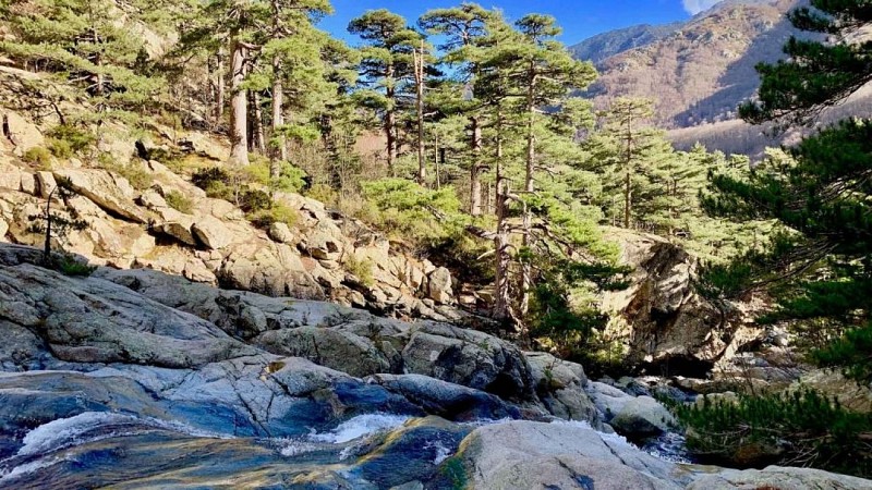 randonnees-la-cascade-des-anglais-office-de-tourisme-de-corte-office-de-tourisme-175920190411154455