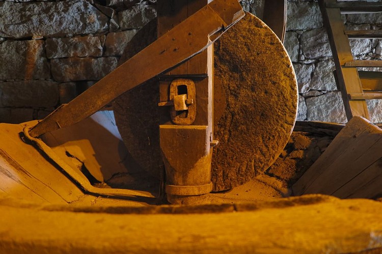 214074804_4732599463436087_3492400568259236080_n