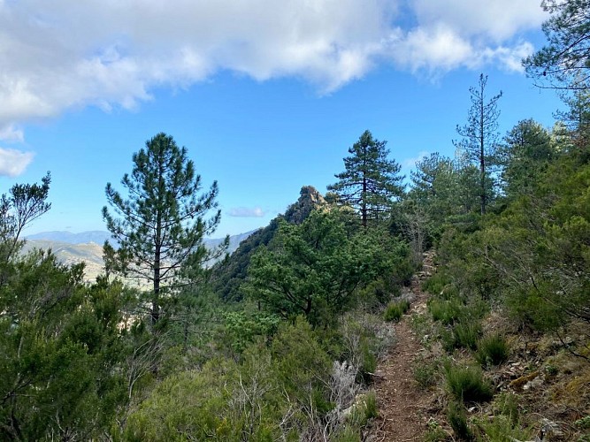 Pointe-du-Corbeau-et-sentier