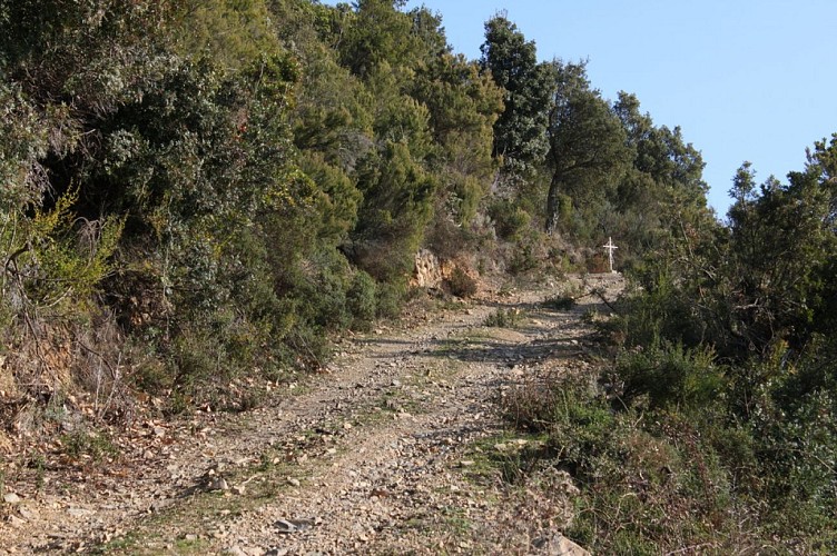 Rand'Oriente - Sentier Huit de Tox