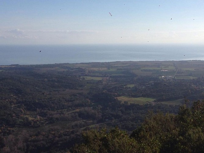 laurent manenti Chiatra 4