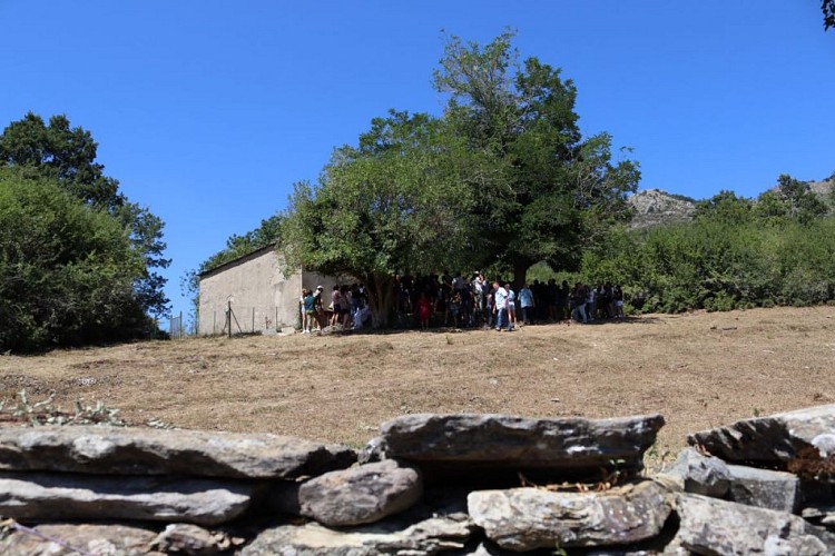 Chapelle San Vincente