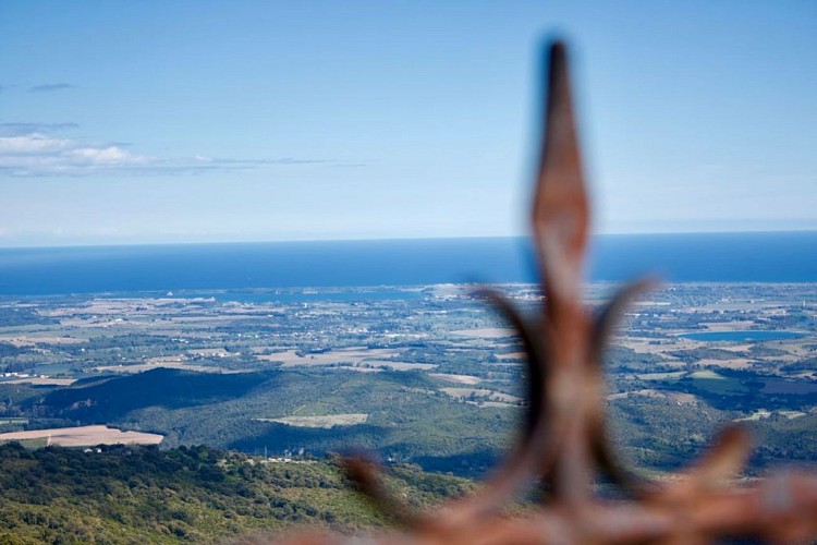 Antisanti-sol-2021---SAS--12--2