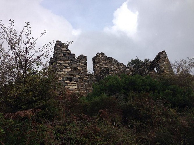 laurent manenti Casevecchie 6