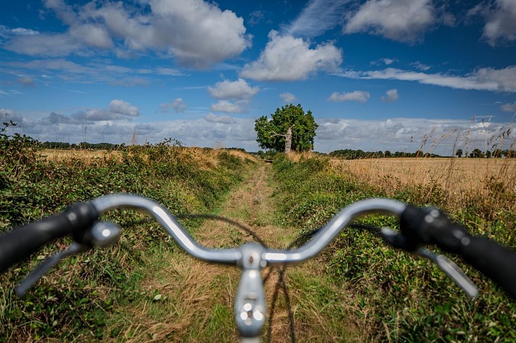 Boucle autour de Civray N°1
