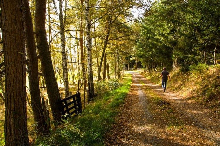 Les alentours de Saint-Chély