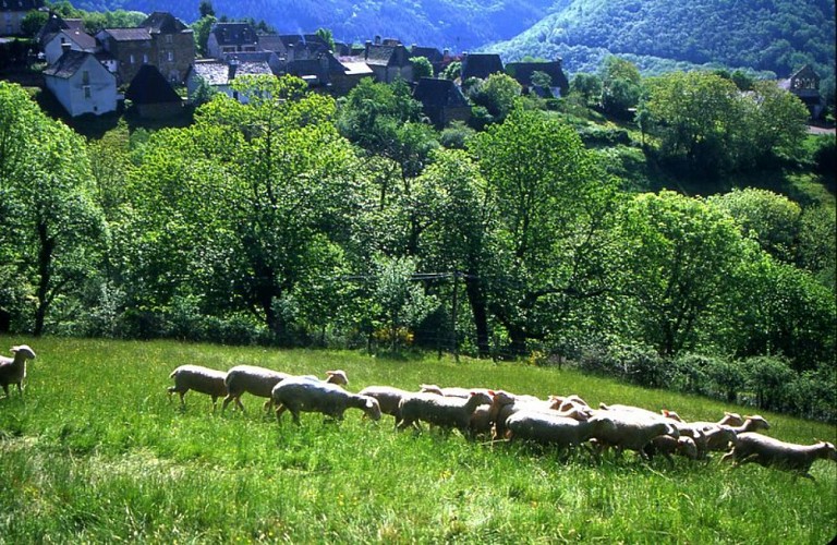 Le sentier des deux vallées