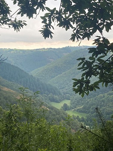 Le pays vert du Carladez