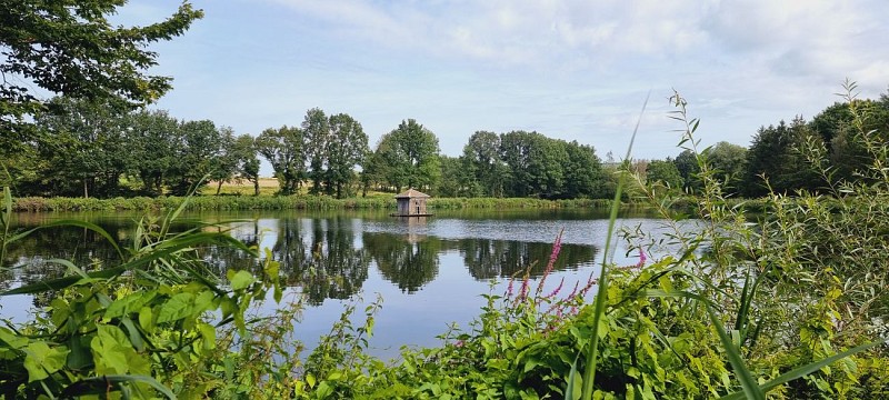 FLO Soye Etang Vignette 2