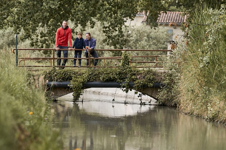 AUBIGNAN - Le plateau de Gargamiane