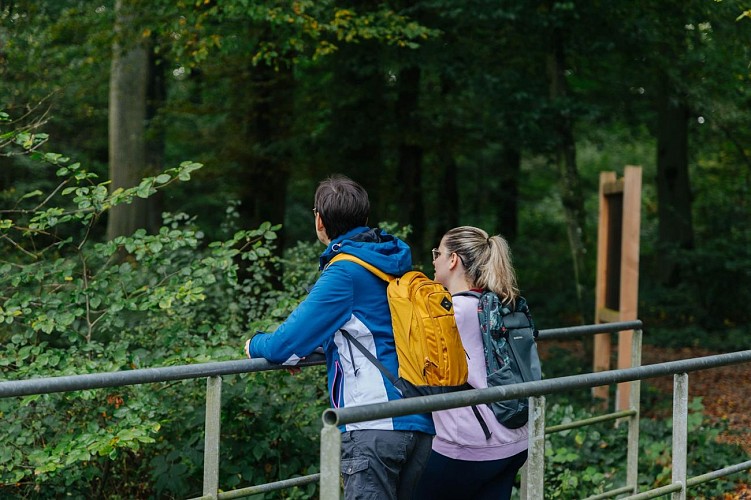 Balade autour de l'Étang des Marais