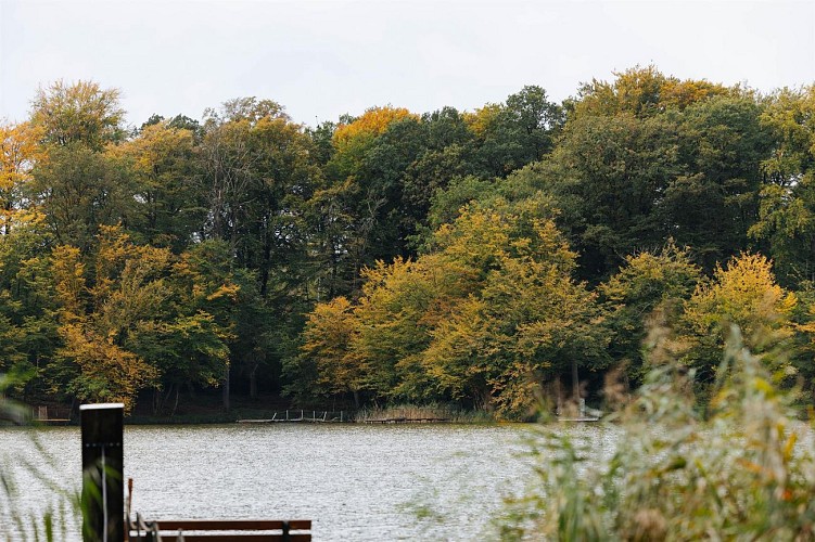 Balade autour de l'Étang des Marais