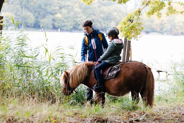 Balade autour de l'Étang des Marais