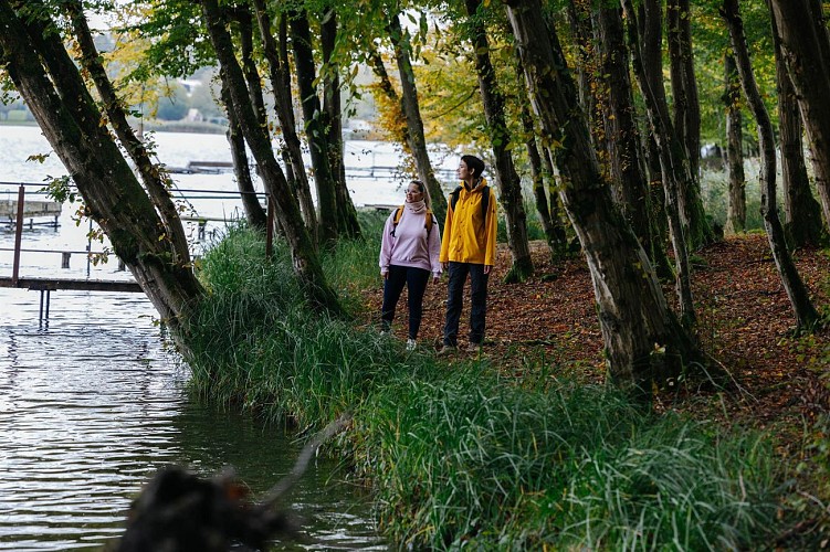 Balade autour de l'Étang des Marais
