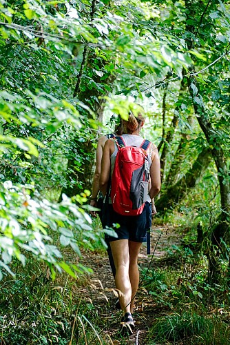 Le circuit des Roseaux