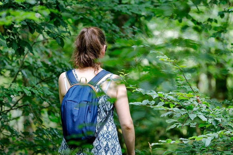 Le circuit des Roseaux