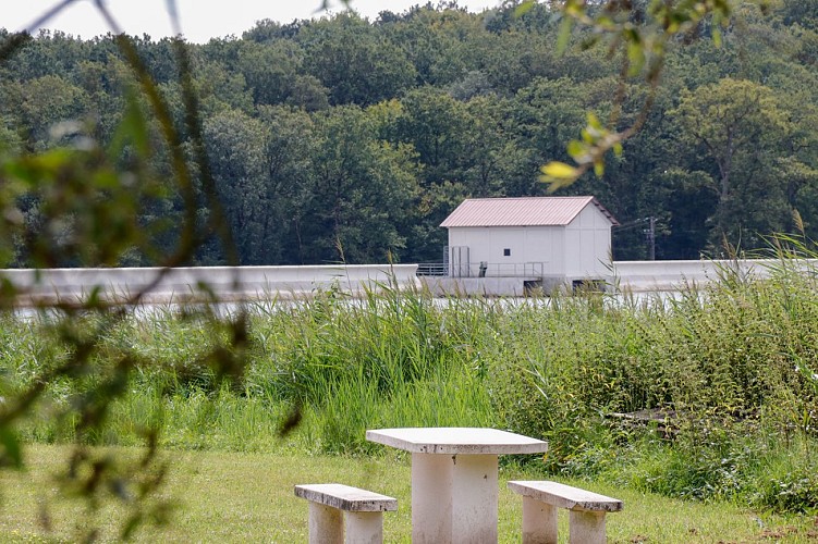 Le circuit des Roseaux