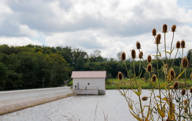 Le circuit des Roseaux