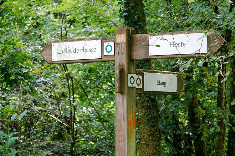 Le circuit des Roseaux