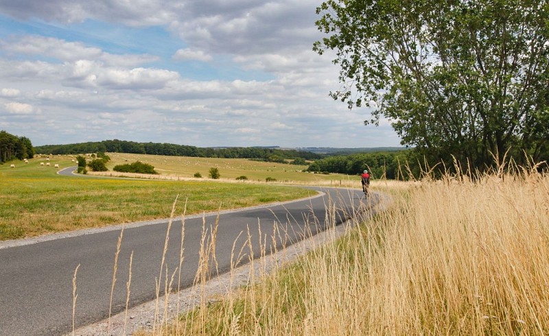 Randonnée à pied - Circuit Le Lion Couronné