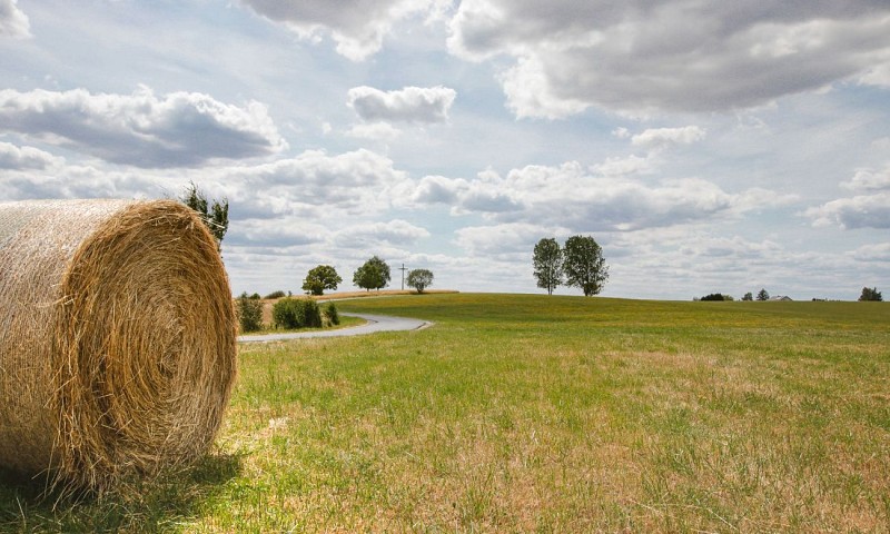 Randonnée à pied - Circuit Le Lion Couronné