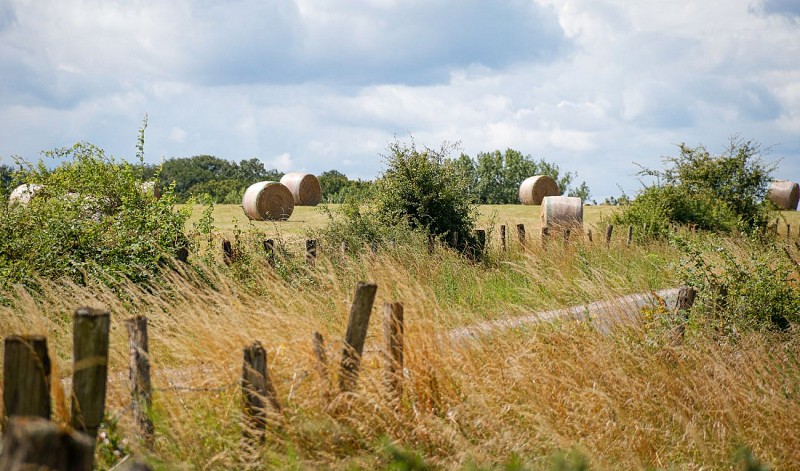 Randonnée à pied - Circuit Le Lion Couronné