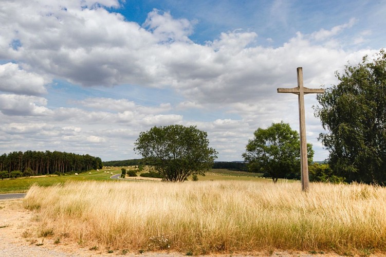 Randonnée à pied - Circuit Le Lion Couronné