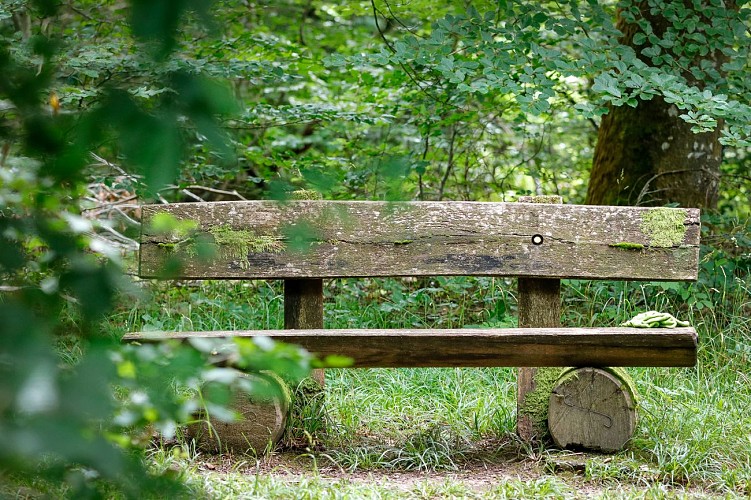 Randonnée à pied - Circuit Le Lion Couronné