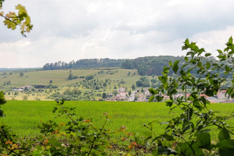 Circuit Le Langenberg