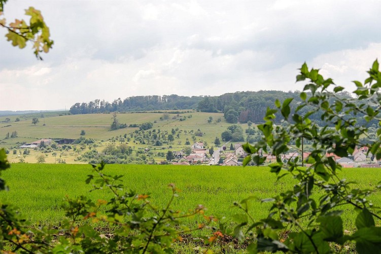 Circuit Le Langenberg