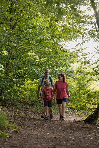 Circuit autour de l'Étang de Hirbach