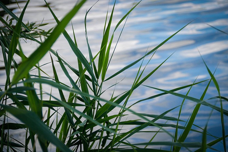 Circuit La Boucle des Pêcheurs