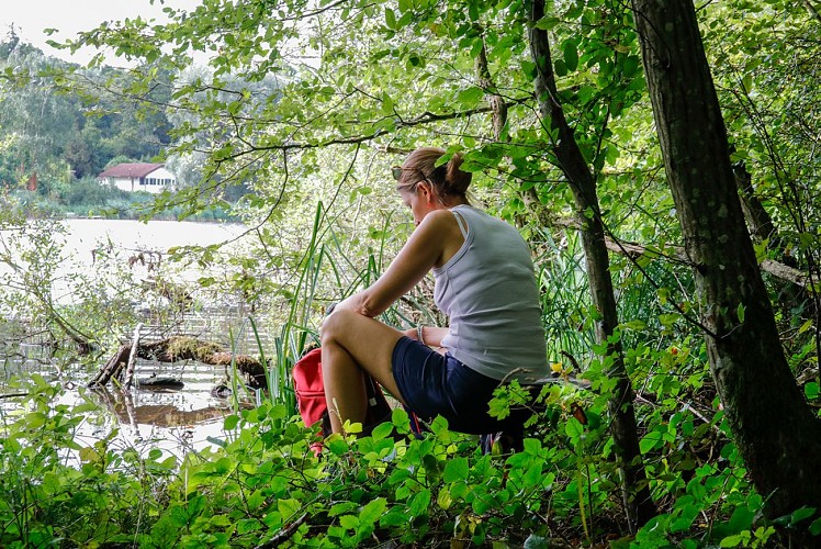 Circuit Le Chêne et le Roseau