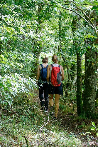 Circuit Le Chêne et le Roseau