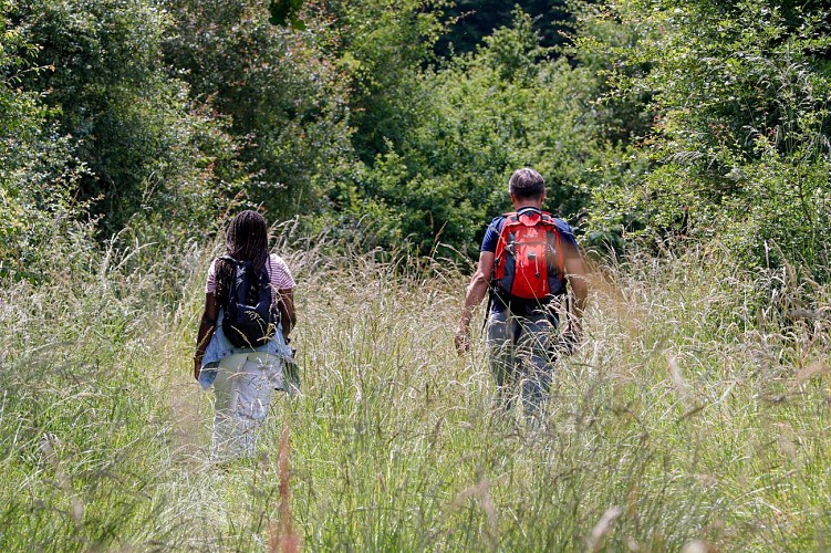 Circuit Au fil des Blockhaus