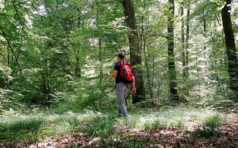 Circuit Au fil des Blockhaus