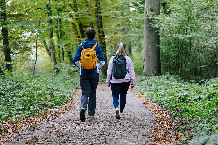 Circuit de l'Étang des Marais