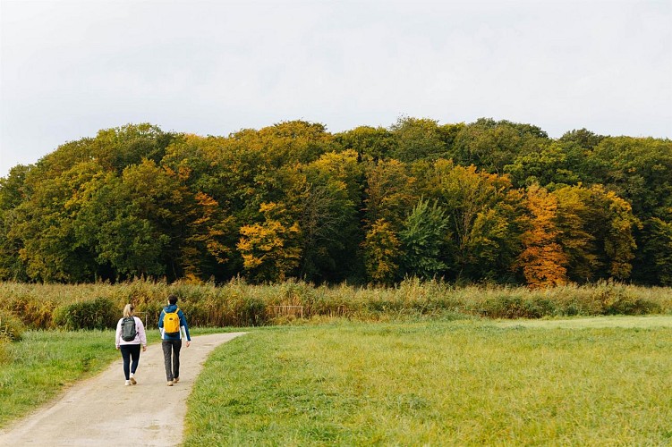 Circuit de l'Étang des Marais
