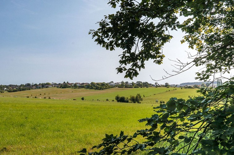 Le Chemin des Fruitiers à Wiesviller